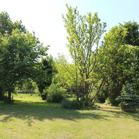 Axtburg Apartments Berbaltavar Luaran gambar