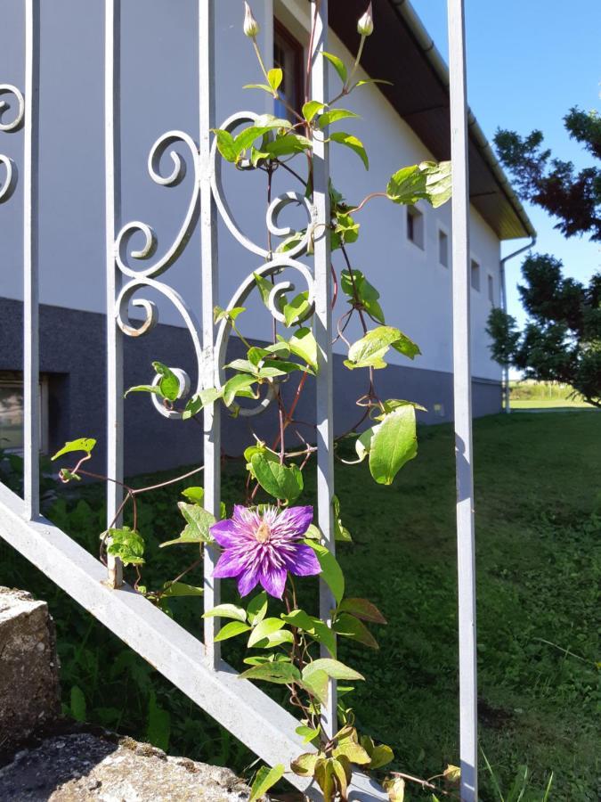 Axtburg Apartments Berbaltavar Luaran gambar