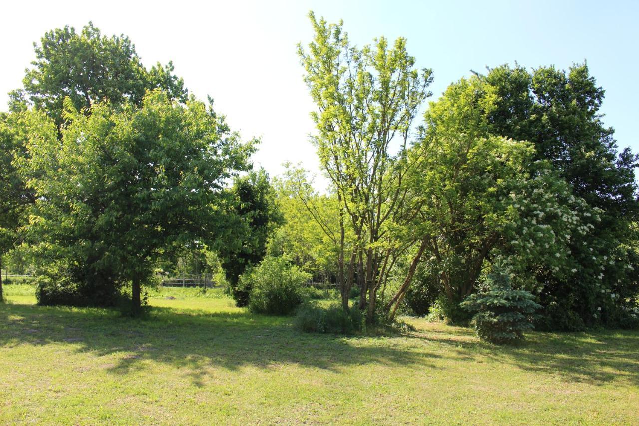 Axtburg Apartments Berbaltavar Luaran gambar