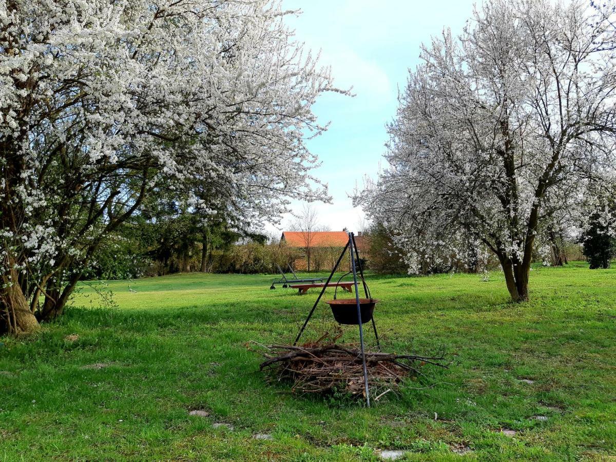 Axtburg Apartments Berbaltavar Luaran gambar